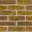 Daneshill Yellow